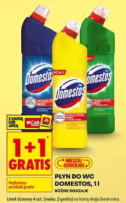 Biedronka Domestos płyn do WC oferta