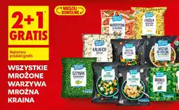 Biedronka Mroźna Kraina mrożone warzywa oferta