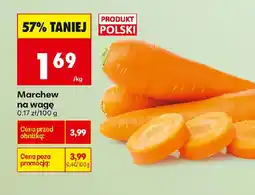 Biedronka Marchew oferta