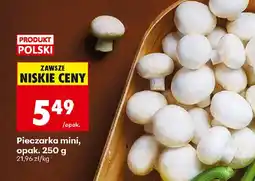 Biedronka Pieczarka mini oferta