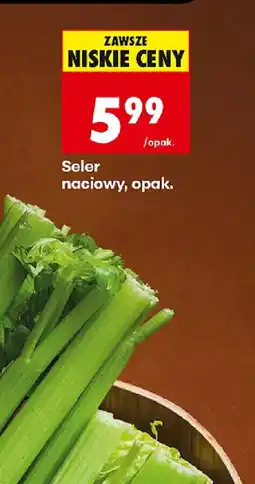 Biedronka Seler naciowy oferta