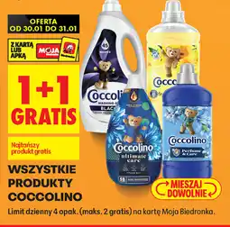 Biedronka Coccolino produkty oferta