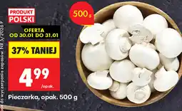 Biedronka Pieczarka oferta