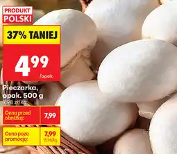 Biedronka Pieczarka oferta