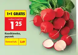 Biedronka Rzodkiewka, pęczek oferta