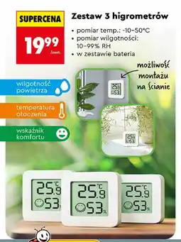 Biedronka Zestaw 3 higrometrów oferta