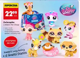 Biedronka Zwierzątko little life Cobi oferta