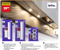 Biedronka Lampka podszafkowa LED (różne typy) oferta