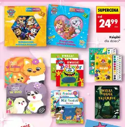 Biedronka Miś pracuś - w żłobku oferta