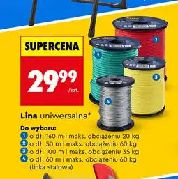 Biedronka Lina uniwersalna oferta
