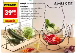 Biedronka Koszyk na warzywa i owoce (SMUKEE) oferta