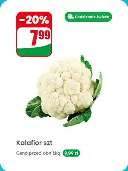 Dino Kalafior szt oferta