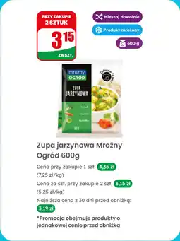 Dino Zupa jarzynowa oferta