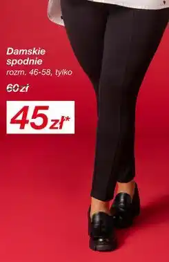 KiK Damskie spodnie rozm. 46-58 oferta