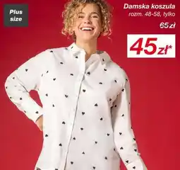 KiK Damska koszula rozm. 48-58 oferta