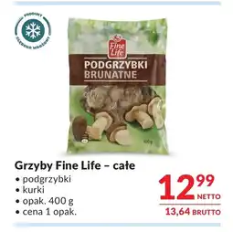 Makro Grzyby Fine life oferta