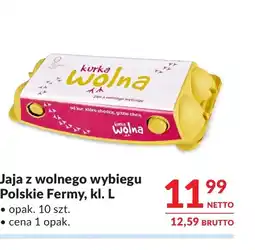Makro Jaja Kurka wolna oferta