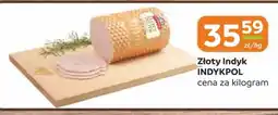 Gama Indyk Indykpol oferta