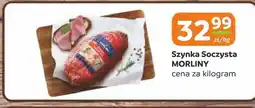 Gama Szynka Morliny oferta