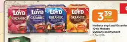 Gama Grzaniec Loyd oferta