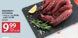 Selgros Ośmiornica gotowana oferta