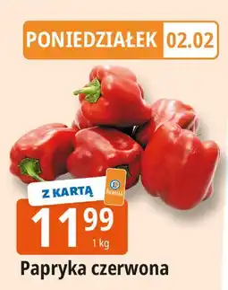 E.Leclerc Papryka czerwona oferta