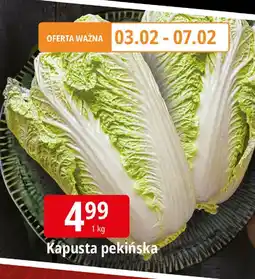 E.Leclerc Kapusta pekińska oferta