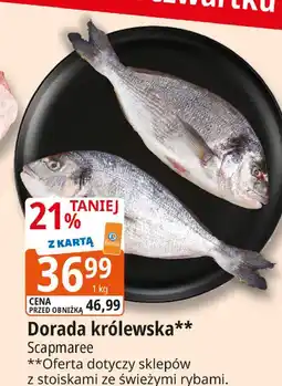 E.Leclerc Dorada Scapmaree oferta