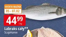 E.Leclerc Labraks Scapmaree oferta