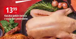 E.Leclerc Kaczka pekin oferta