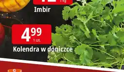 E.Leclerc Kolendra oferta