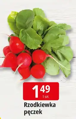 E.Leclerc Rzodkiewka oferta