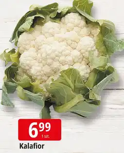 E.Leclerc Kalafior oferta