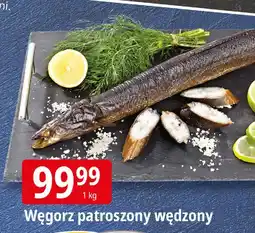 E.Leclerc Węgorz wędzony patroszony oferta