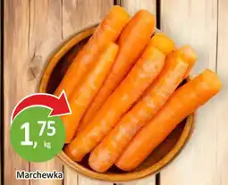 Passa Marchewka oferta