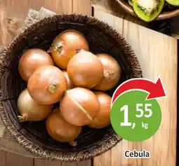 Passa Cebula oferta