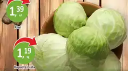 Passa Kapusta biała oferta
