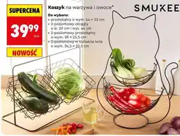 Biedronka Koszyk na warzywa i owoce oferta