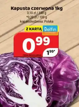 Delfin Kapusta czerwona oferta