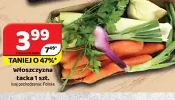 Delfin Włoszczyzna oferta