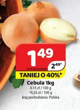 Delfin Cebula oferta