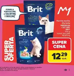 Carrefour Karma sucha dla kota PREMIUM CAT DRY BRIT oferta