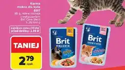 Carrefour Karma mokra dla kota BRIT oferta