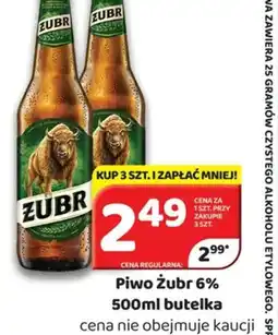 Delfin Piwo Zubr oferta
