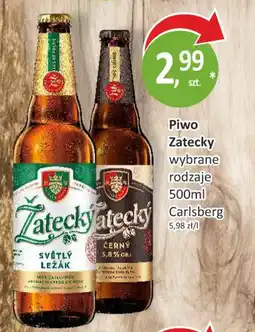 Passa Piwo Zatecky Carlsbers oferta