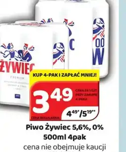 Delfin Piwo Zywiec oferta