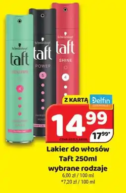 Delfin Taft lakier do włosów oferta