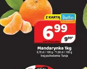 Delfin Mandarynka oferta
