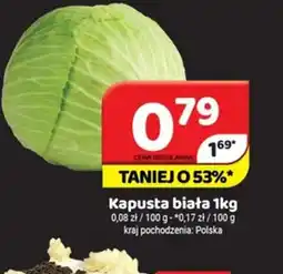 Delfin Kapusta biała oferta