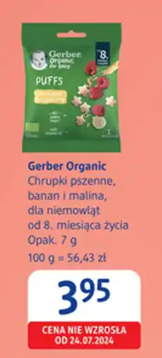 dm drogerie markt Gerber Organic Chrupki pszenne, banan i malina oferta